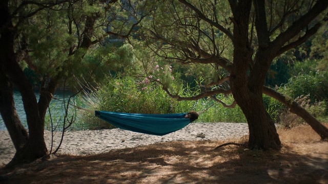 Video Reference: Plant, Boat, Watercraft, Tree, Shade, Wood, Grass, Trunk, Boats and boating--Equipment and supplies, Natural landscape