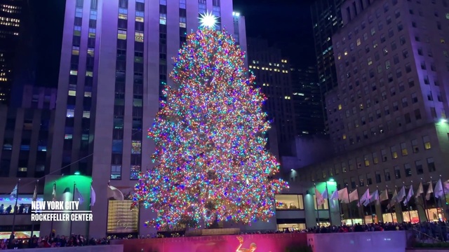 Video Reference: Christmas tree, Building, Skyscraper, Plant, Purple, Light, Nature, Electricity, Christmas decoration, Tower block