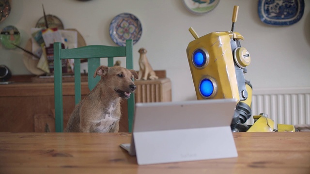 Video Reference: Toy, Wood, Mammal, Fawn, Hardwood, Plastic, Working animal, Art, Stuffed toy, Baby toys
