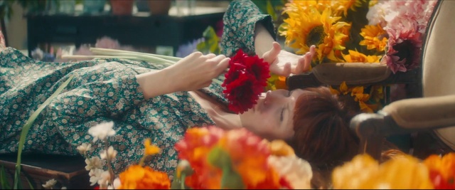 Video Reference: Flower, Photograph, Plant, Leaf, Orange, Petal, Yellow, Happy, Fun, Flower Arranging