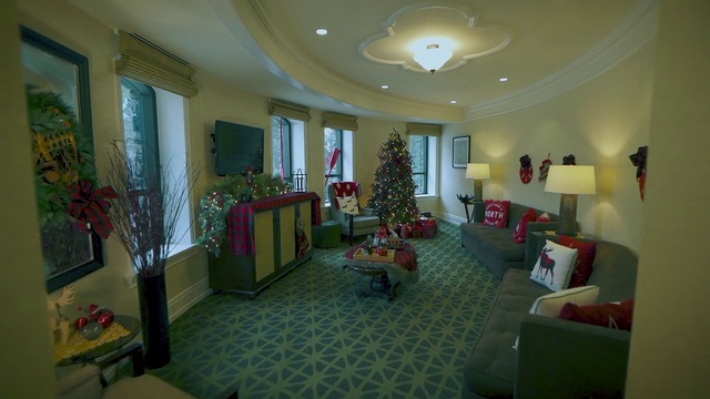 Video Reference: Decoration, Plant, Property, Furniture, Christmas tree, Christmas ornament, Building, Architecture, Lighting, Living room
