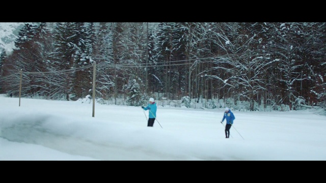 Video Reference: Snow, People in nature, Tree, Branch, Natural landscape, Freezing, Slope, Tints and shades, Landscape, Leisure