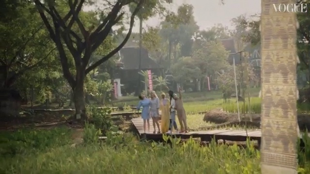 Video Reference: Plant, Tree, Land lot, Grass, Wood, Landscape, Natural landscape, Leisure, Grassland, Road