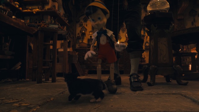 Video Reference: Cat, Mammal, Midnight, Felidae, Event, Darkness, Hat, City, Road surface, Small to medium-sized cats