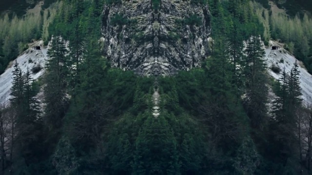 Video Reference: Ecoregion, Mountain, Larch, Natural landscape, Plant, Tree, Terrain, Mountainous landforms, Formation, Landscape