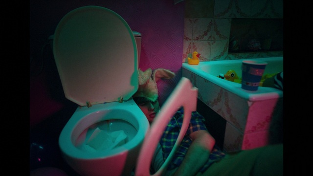 Video Reference: Purple, Toilet, Toilet seat, Fluid, Pink, Household supply, Liquid, Bathroom, Magenta, Drinkware