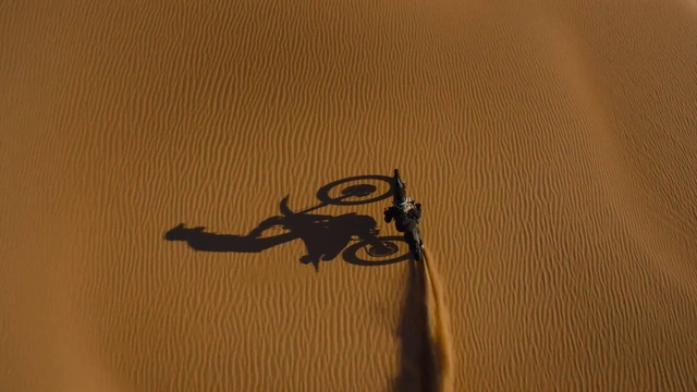 Video Reference: Wood, Sleeve, Grey, Font, Insect, Tints and shades, Landscape, Pattern, Circle, Pest