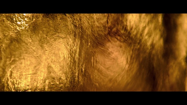 Video Reference: Hair, Branch, Wood, Natural landscape, Trunk, Grass, Landscape, Tints and shades, Pattern, Darkness