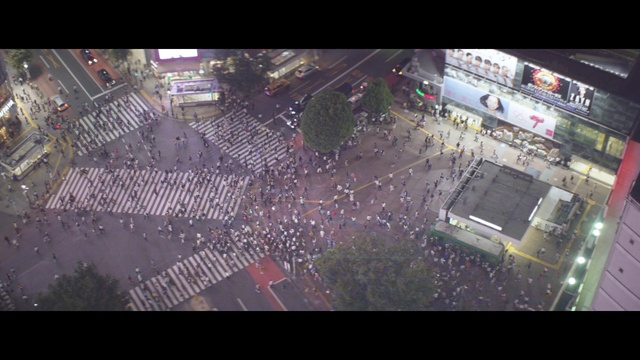 Video Reference: Car, Urban design, Mode of transport, Asphalt, Landscape, City, Road, Metropolitan area, Metropolis, Crowd