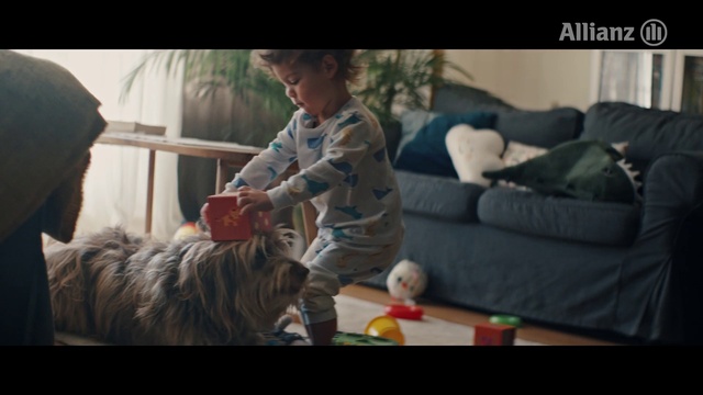 Video Reference: Dog, Carnivore, Companion dog, Dog breed, Working animal, Happy, Fun, Toddler, Toy dog, Child