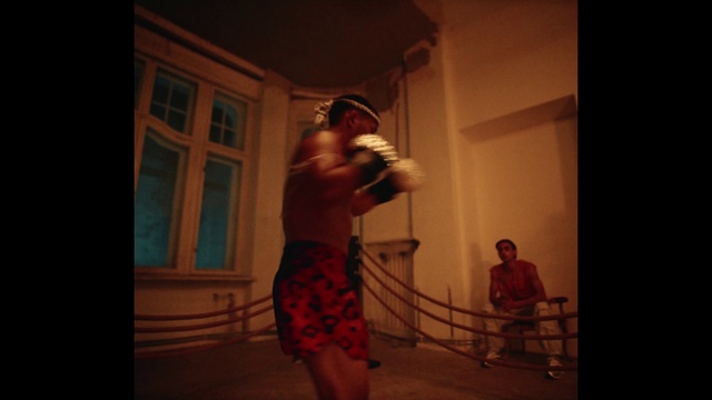 Video Reference: Shorts, Flash photography, Gesture, Chest, Trunk, Abdomen, Elbow, Barechested, Event, Performing arts