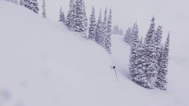 Video Reference: Snow, Plant, Slope, Mountain, Larch, Tree, Evergreen, Freezing, Winter, Landscape