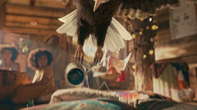 Video Reference: Bird, Headgear, Feather, Falconiformes, Wood, Event, Beak, Room, Fun, Hat