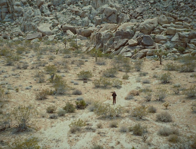 Video Reference: Plant community, Plant, Bedrock, Grass, Landscape, Terrestrial animal, Grassland, Soil, Wildlife, Outcrop