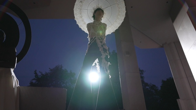 Video Reference: Atmosphere, Light, Flash photography, Standing, Tree, Lens flare, Entertainment, Symmetry, Art, Astronomical object