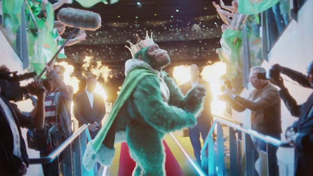 Video Reference: World, Green, Lighting, Gesture, Fun, Leisure, Entertainment, Crowd, Event, Youth