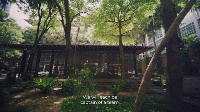 Video Reference: Plant, Tree, Natural landscape, Building, Shade, Terrestrial plant, Wood, Woody plant, Trunk, Grass