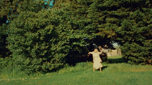 Video Reference: Plant, Plant community, People in nature, Natural landscape, Tree, Land lot, Evergreen, Groundcover, Grass, Landscape