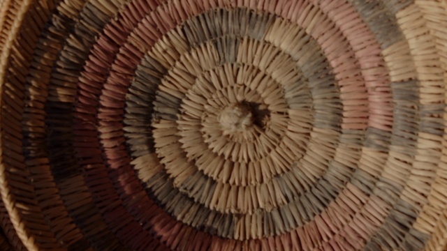 Video Reference: Brown, Wood, Natural material, Trunk, Symmetry, Tree, Pattern, Circle, Terrestrial plant, Art