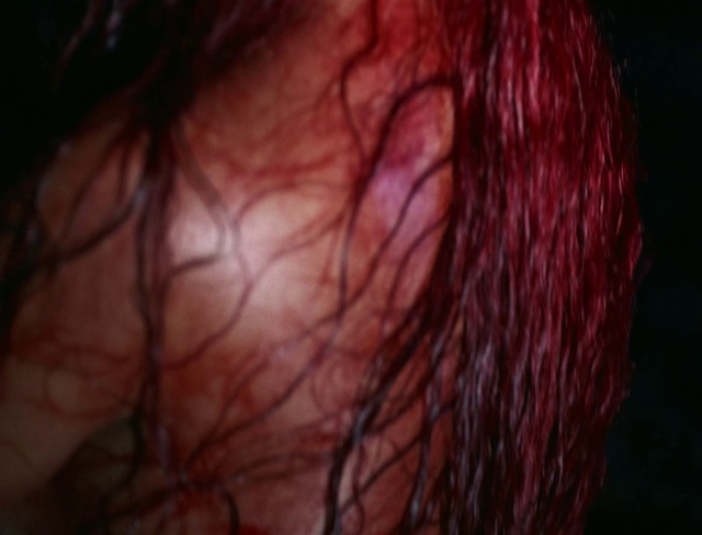 Video Reference: Nose, Eyebrow, Eyelash, Neck, Jaw, Liver, Black hair, Wood, Magenta, Electric blue