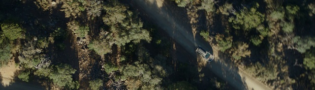Video Reference: Plant community, Plant, Natural landscape, Wood, Grass, Landscape, Slope, Formation, Forest, Tree
