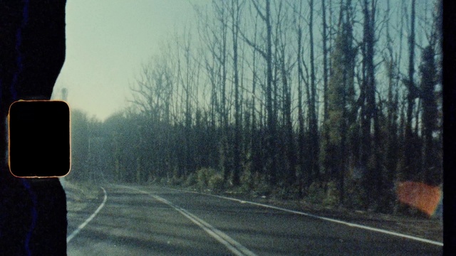 Video Reference: Sky, Plant, Automotive lighting, Window, Branch, Road surface, Automotive mirror, Natural landscape, Asphalt, Tree