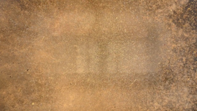 Video Reference: Brown, Beige, Grey, Wood, Tints and shades, Flooring, Pattern, Soil, Peach, Rectangle