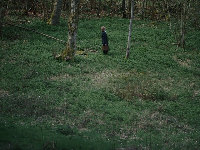 Video Reference: Plant, Tree, People in nature, Natural landscape, Terrestrial plant, Grass, Groundcover, Grassland, Landscape, Shrub