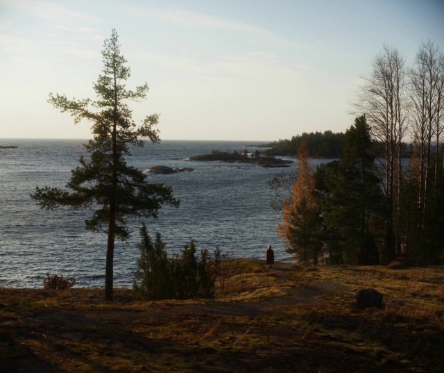 Video Reference: Water, Sky, Cloud, Plant, Ecoregion, Tree, Natural landscape, Wood, Branch, Larch