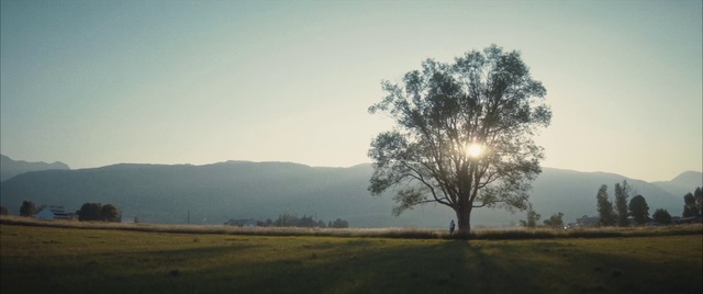 Video Reference: Sky, Plant, Atmosphere, Ecoregion, Natural landscape, Tree, Atmospheric phenomenon, Horizon, Sunrise, Sunset