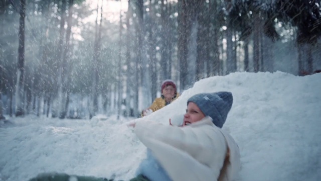 Video Reference: Glasses, Plant, Snow, Sunglasses, Tree, Goggles, Freezing, Wood, Recreation, Landscape