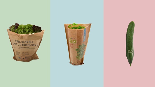 Video Reference: Plant, Flowerpot, Houseplant, Terrestrial plant, Font, Groundcover, Grass, Shrub, Soil, Art