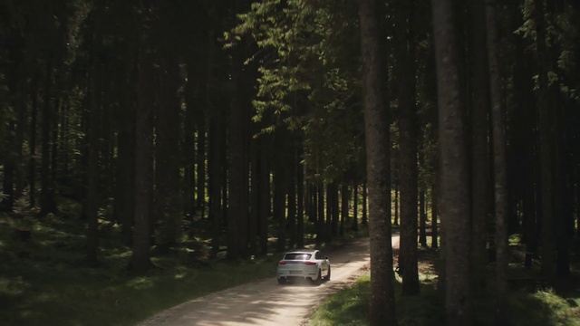 Video Reference: Plant, Vehicle, Car, Automotive lighting, Natural environment, Natural landscape, Tree, Road surface, Vegetation, Sunlight