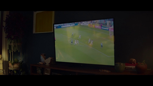 Video Reference: Flowerpot, World, Plant, Houseplant, Soccer, Flat panel display, Grass, Gadget, Display device, Multimedia