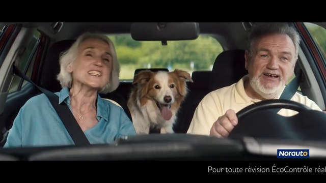 Video Reference: Car, Dog, Vehicle, Motor vehicle, Automotive mirror, Dog breed, Seat belt, Steering part, Carnivore, Steering wheel