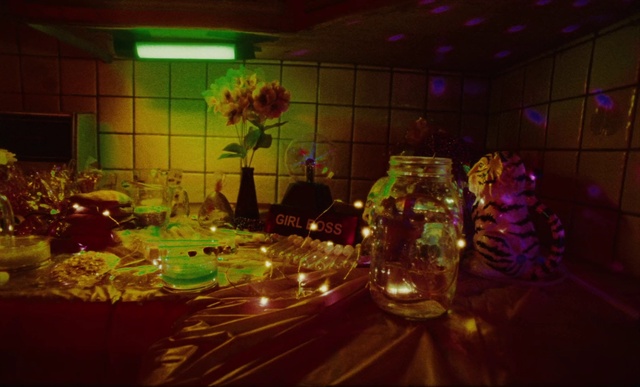 Video Reference: Plant, Decoration, Interior design, Flower, Tree, Fun, Event, Function hall, Art, Entertainment