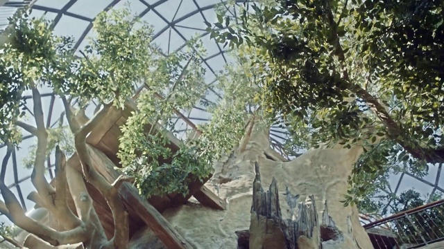Video Reference: Plant, Terrestrial plant, Twig, Building, Wood, Metal, Tree, Glass, Urban design, Event