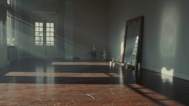 Video Reference: Window, Wood, Interior design, Sunlight, Floor, Flooring, Hall, Glass, Tints and shades, Hardwood