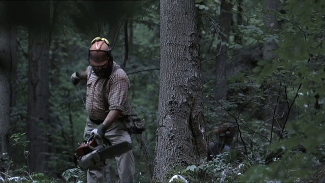 Video Reference: Plant, Military camouflage, Military person, Tree, Marines, Wood, Terrestrial plant, Helmet, Soldier, Camouflage