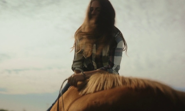 Video Reference: Hair, Vertebrate, Sky, Dress, Working animal, Fawn, Happy, Wood, Long hair, Landscape
