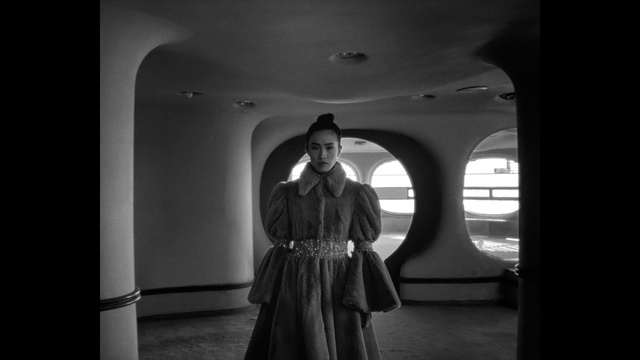 Video Reference: Flash photography, Black-and-white, Grey, Style, Tints and shades, Monochrome photography, Monochrome, Darkness, Arch, Shadow