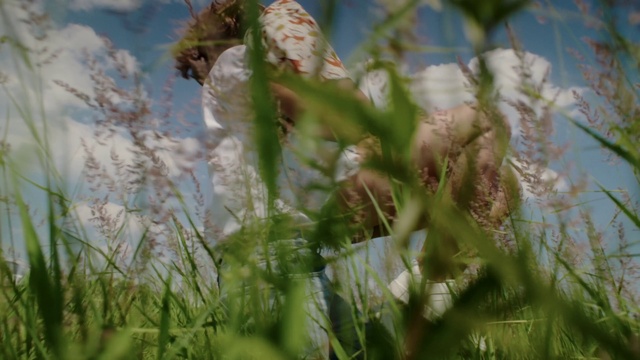 Video Reference: Flower, Sky, Natural landscape, Grass, Terrestrial plant, Meadow, Plant, Flowering plant, Grassland, Twig