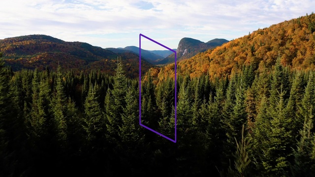 Video Reference: Sky, Cloud, Plant, Plant community, Ecoregion, Mountain, Natural landscape, Natural environment, Slope, Larch