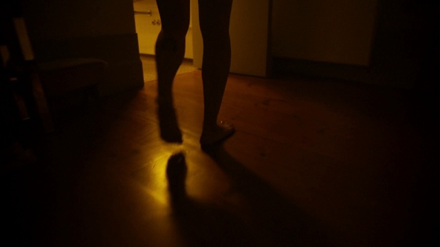 Video Reference: Wood, Knee, Flooring, Thigh, Calf, Hardwood, Tints and shades, Foot, Flash photography, Human leg