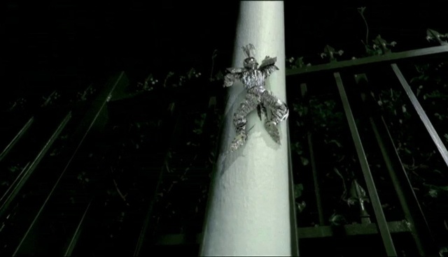 Video Reference: Natural environment, Event, Darkness, Grass, Pole, Metal, Flash photography, Fashion accessory, Night, Wedding dress