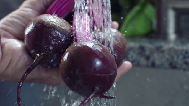 Video Reference: Plant, Natural foods, Food, Terrestrial plant, Insect, Arthropod, Vegetable, Close-up, Beetroot, Invertebrate