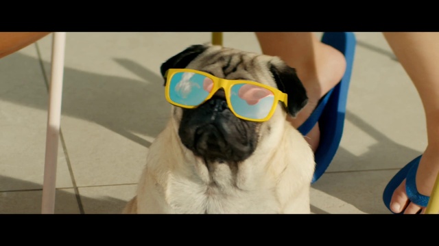 Video Reference: Glasses, Hair, Head, Vision care, Goggles, Sunglasses, Jaw, Sleeve, Beard, Eyewear