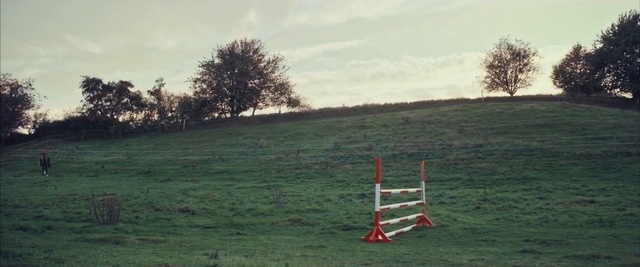 Video Reference: Cloud, Sky, Plant, Tree, Natural landscape, Land lot, Grass, Landscape, Grassland, Plain
