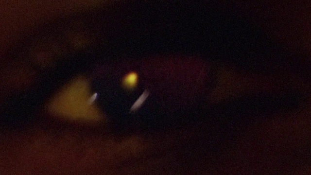 Video Reference: Automotive lighting, Sky, Amber, Astronomical object, Tints and shades, Tree, Science, Star, Street light, Darkness