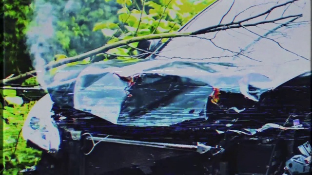 Video Reference: Twig, Wood, Tints and shades, Electric blue, Slope, Grass, Plant, Motor vehicle, Tree, Soil